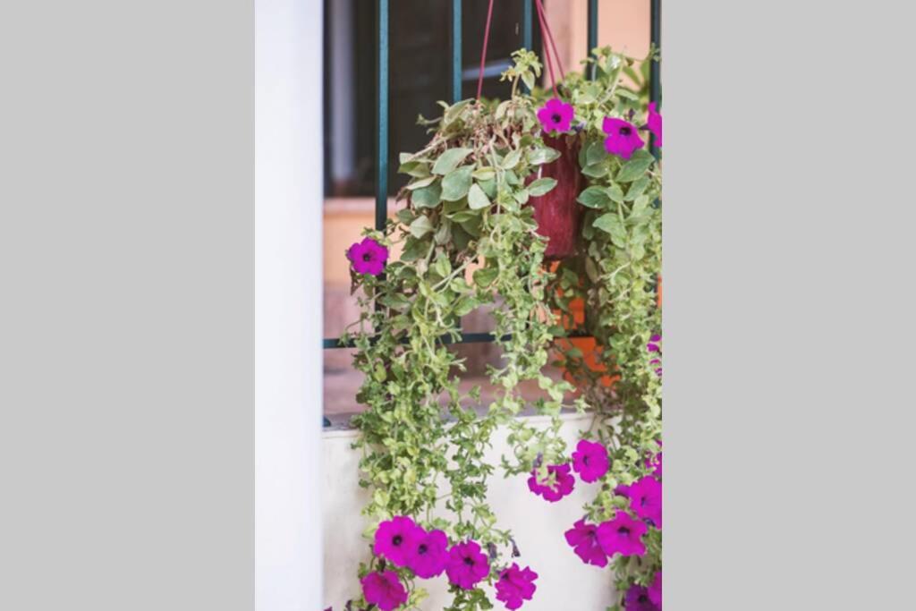 Spiti Maria Apartment Valanio ภายนอก รูปภาพ